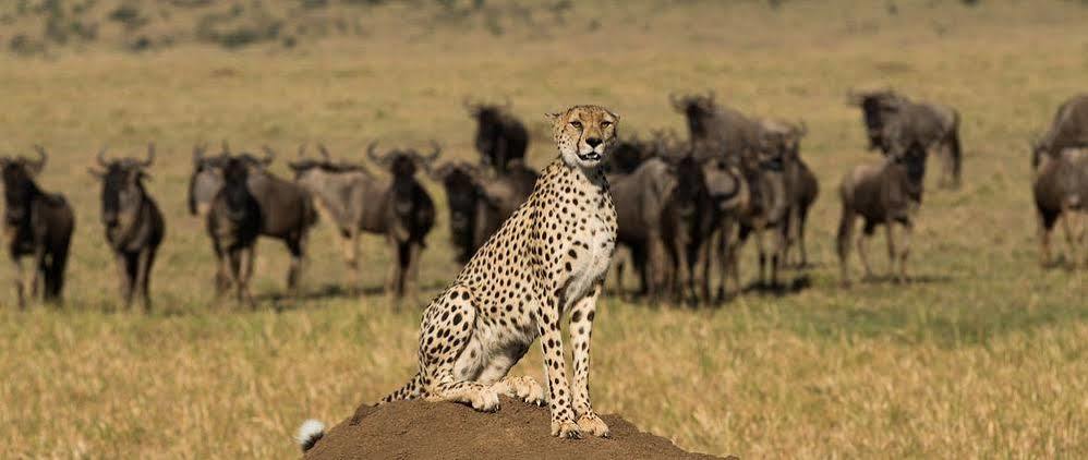 Mahali Mzuri Hotel Maasai Mara Bagian luar foto