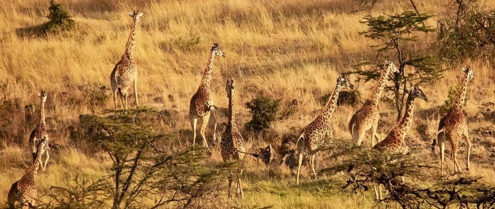 Mahali Mzuri Hotel Maasai Mara Bagian luar foto