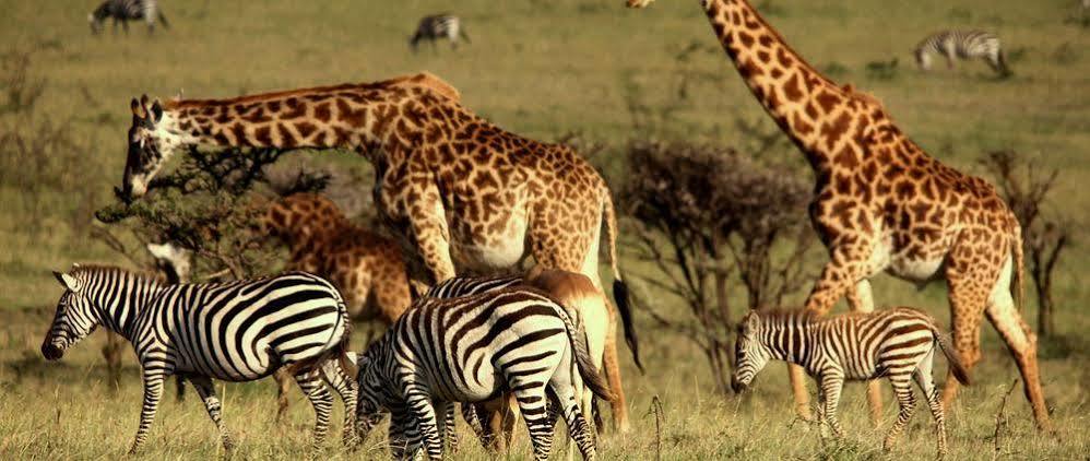 Mahali Mzuri Hotel Maasai Mara Bagian luar foto